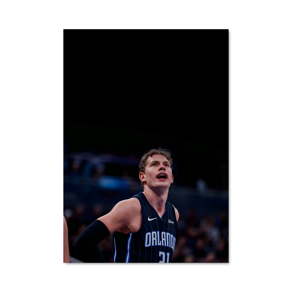 Poster Moritz wagner stimulante